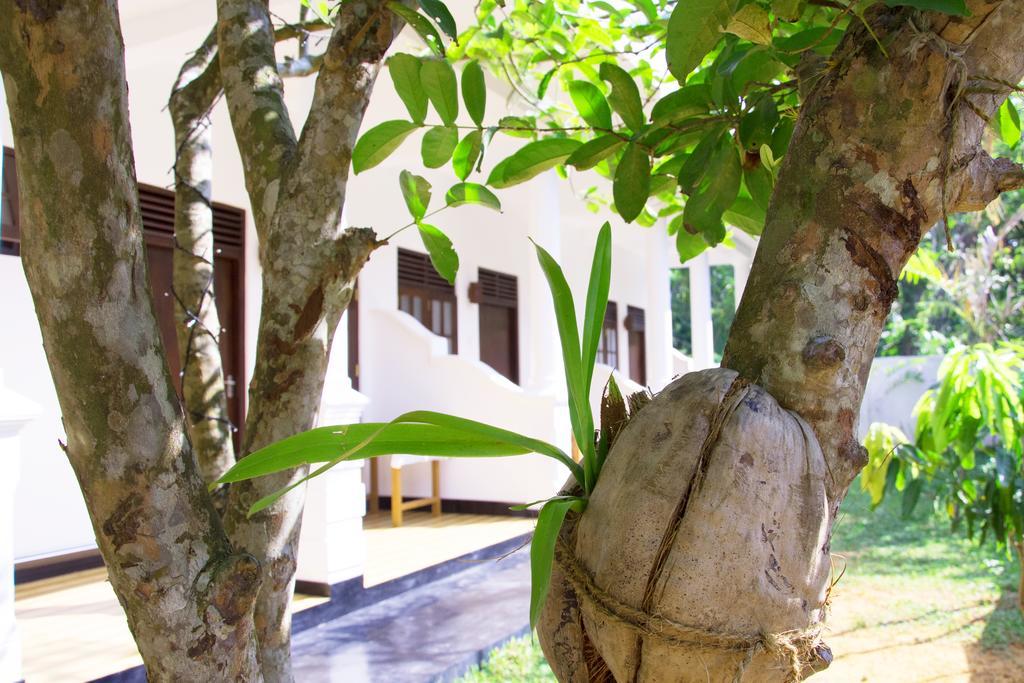 Garden Inn มิริสซา ภายนอก รูปภาพ